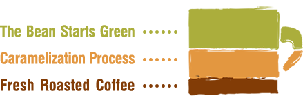 The Bean Starts Green, Caramelization Process, Fresh Roasted Coffee