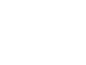 Twiggs Foundation Logo